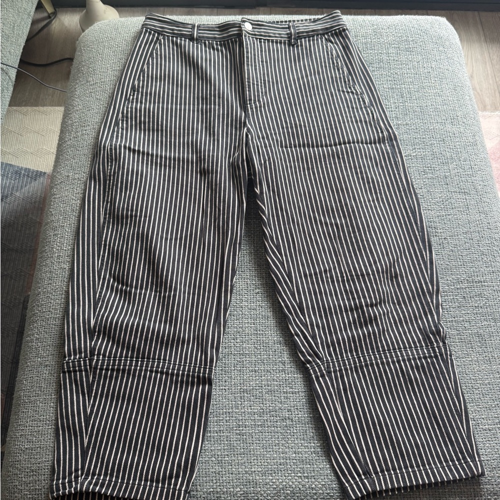 Everlane Black and White Striped Barrel Pants